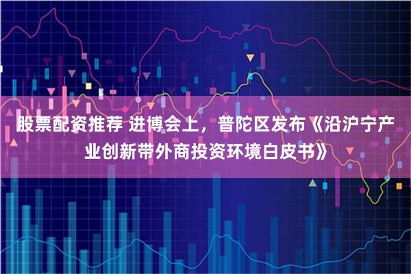 股票配资推荐 进博会上,普陀区发布《沿沪宁产业创新带外商投资环境白皮书》