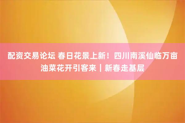 配资交易论坛 春日花景上新!四川南溪仙临万亩油菜花开引客来|新春走基层