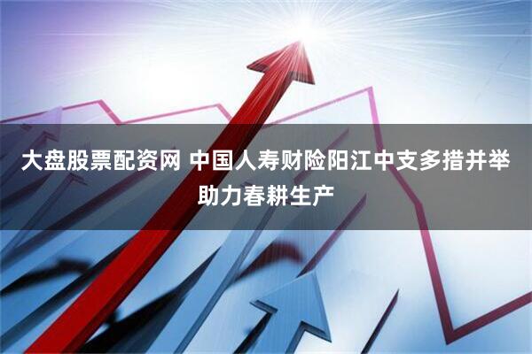 大盘股票配资网 中国人寿财险阳江中支多措并举助力春耕生产