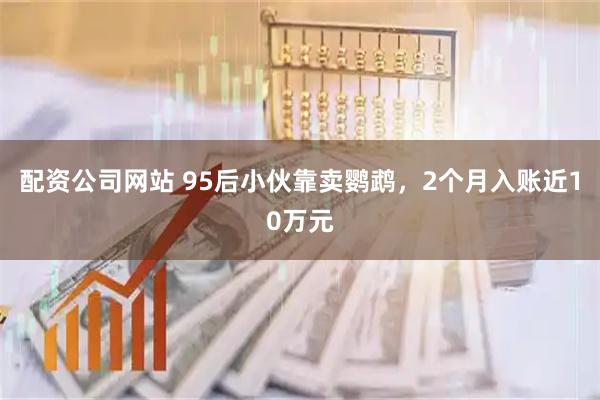 配资公司网站 95后小伙靠卖鹦鹉，2个月入账近10万元